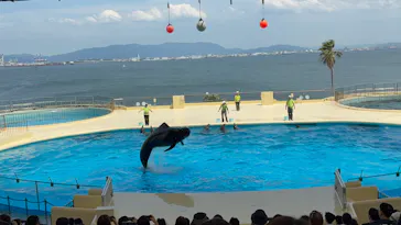 マリンワールド海の中道に投稿された画像（2026/6/11）