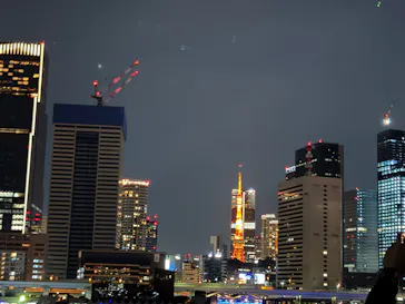 東京湾夜景クルーズ＜横浜港→東京（竹芝桟橋）＞に投稿された画像（2026/6/11）