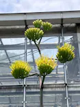 名古屋市東山動植物園に投稿された画像（2026/6/11）