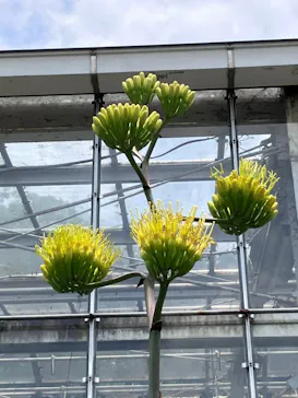 名古屋市東山動植物園に投稿された画像（2026/6/11）