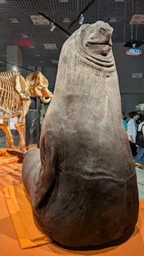 特別展「超危険生物展　科学で挑む生き物の本気」に投稿された画像（2026/6/11）
