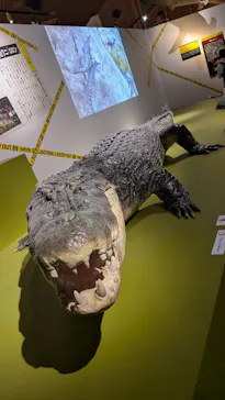 特別展「超危険生物展　科学で挑む生き物の本気」に投稿された画像（2026/6/11）