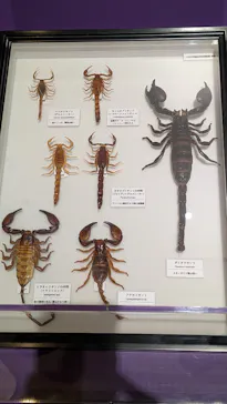 特別展「超危険生物展　科学で挑む生き物の本気」に投稿された画像（2026/6/11）