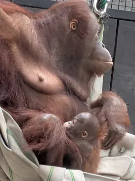 多摩動物公園に投稿された画像（2026/6/11）
