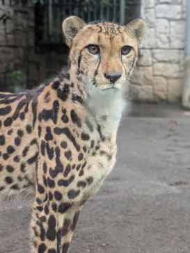 多摩動物公園に投稿された画像（2026/6/11）