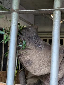 多摩動物公園に投稿された画像（2026/6/11）