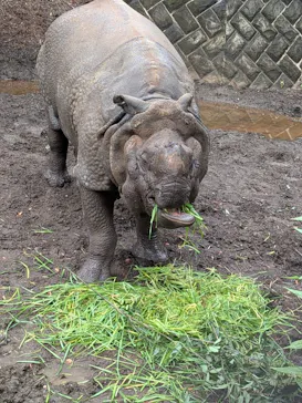 多摩動物公園に投稿された画像（2026/6/11）