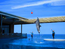 上越市立水族博物館 うみがたりに投稿された画像（2026/6/11）