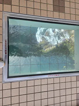 徳島県立 渦の道に投稿された画像（2026/6/11）