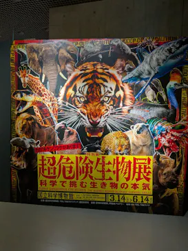 特別展「超危険生物展　科学で挑む生き物の本気」に投稿された画像（2026/6/11）