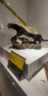 特別展「超危険生物展　科学で挑む生き物の本気」に投稿された画像（2026/6/11）
