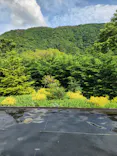 彫刻の森美術館に投稿された画像（2026/6/11）