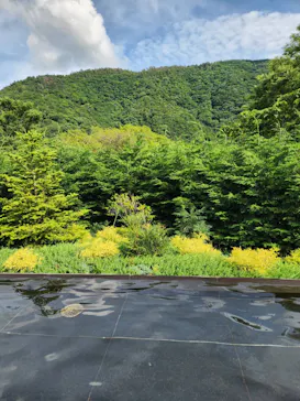 彫刻の森美術館に投稿された画像（2026/6/11）