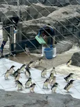 葛西臨海水族園に投稿された画像（2026/6/12）