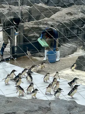 葛西臨海水族園に投稿された画像（2026/6/11）