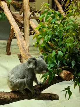 多摩動物公園に投稿された画像（2026/6/11）