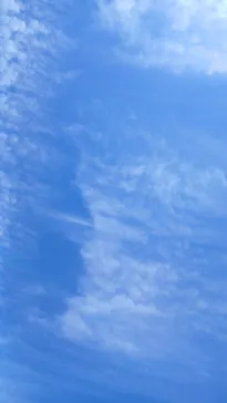 びわ湖バレイに投稿された画像（2026/6/11）