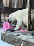 愛媛県立とべ動物園に投稿された画像（2026/6/12）