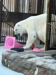 愛媛県立とべ動物園に投稿された画像（2026/6/12）