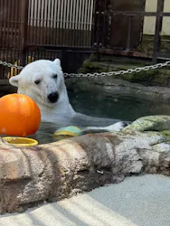 愛媛県立とべ動物園に投稿された画像（2026/6/12）