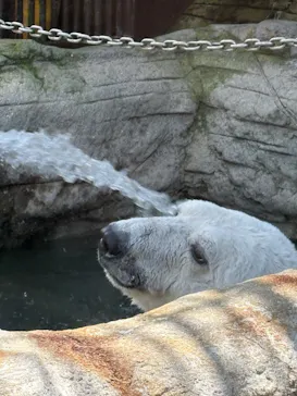 愛媛県立とべ動物園に投稿された画像（2026/6/12）