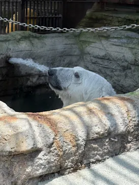 愛媛県立とべ動物園に投稿された画像（2026/6/12）