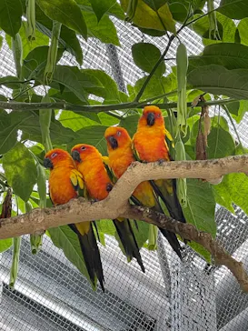 掛川花鳥園に投稿された画像（2026/6/12）