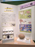 特別展「鳥 ～ゲノム解析が解き明かす新しい鳥類の系統～」に投稿された画像（2026/6/12）