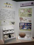 特別展「鳥 ～ゲノム解析が解き明かす新しい鳥類の系統～」に投稿された画像（2026/6/12）