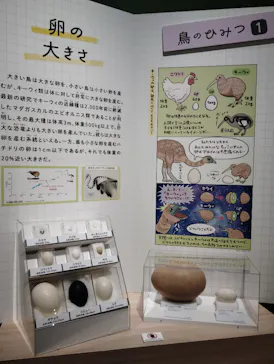 特別展「鳥 ～ゲノム解析が解き明かす新しい鳥類の系統～」に投稿された画像（2026/6/12）