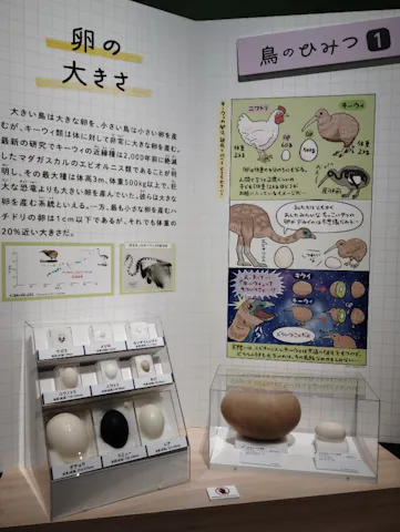 UCAGCO 葦に水鳥図 蓋物 特別展「鳥 ～ゲノム解析が解き明かす新しい鳥類の系統～」の口コミ