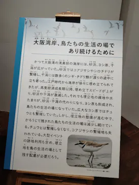 特別展「鳥 ～ゲノム解析が解き明かす新しい鳥類の系統～」に投稿された画像（2026/6/12）