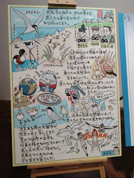 特別展「鳥 ～ゲノム解析が解き明かす新しい鳥類の系統～」に投稿された画像（2026/6/12）