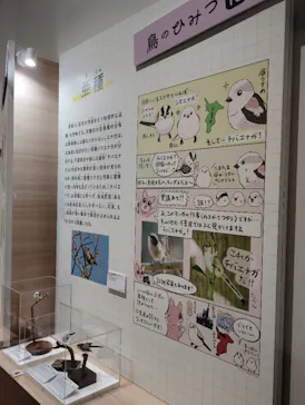 特別展「鳥 ～ゲノム解析が解き明かす新しい鳥類の系統～」に投稿された画像（2026/6/12）