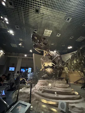 国立科学博物館に投稿された画像（2026/6/12）