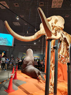 特別展「超危険生物展　科学で挑む生き物の本気」に投稿された画像（2026/6/12）
