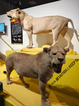 特別展「超危険生物展　科学で挑む生き物の本気」に投稿された画像（2026/6/12）