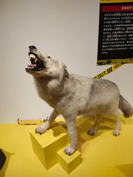 特別展「超危険生物展　科学で挑む生き物の本気」に投稿された画像（2026/6/12）