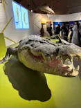 特別展「超危険生物展　科学で挑む生き物の本気」に投稿された画像（2026/6/12）