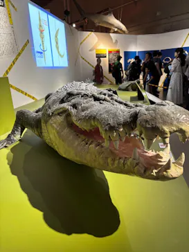 特別展「超危険生物展　科学で挑む生き物の本気」に投稿された画像（2026/6/12）