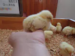 東武動物公園に投稿された画像（2026/6/12）