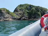 SeafariJapanに投稿された画像（2026/6/12）