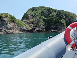 SeafariJapanに投稿された画像（2026/6/12）
