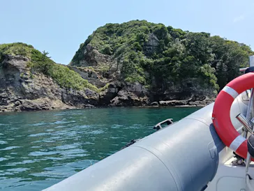 SeafariJapanに投稿された画像（2026/6/12）