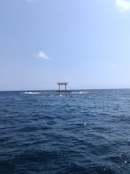 SeafariJapanに投稿された画像（2026/6/12）
