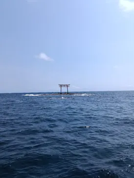 SeafariJapanに投稿された画像（2026/6/12）