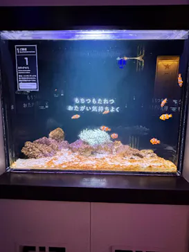 横浜開運水族館 フォーチュンアクアリウムに投稿された画像（2026/6/12）