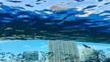 サンシャイン水族館に投稿された画像（2026/6/13）