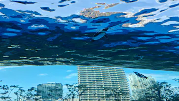 サンシャイン水族館に投稿された画像（2026/6/12）