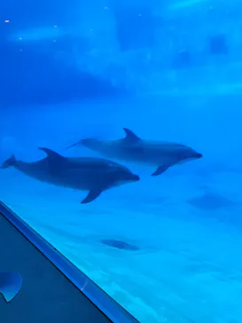 名古屋港水族館に投稿された画像（2026/6/13）